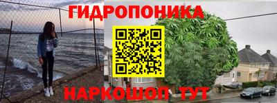 шишки Бузулук