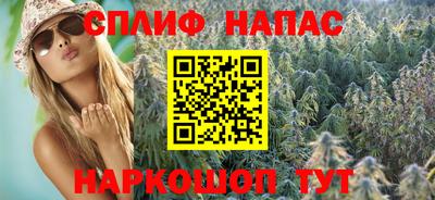 шишки Бузулук