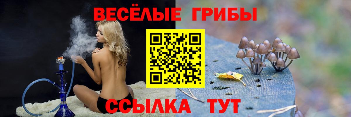 цена наркотик  Вход с VPN  Благовещенск  Галлюциногенные грибы MAGIC MUSHROOMS 